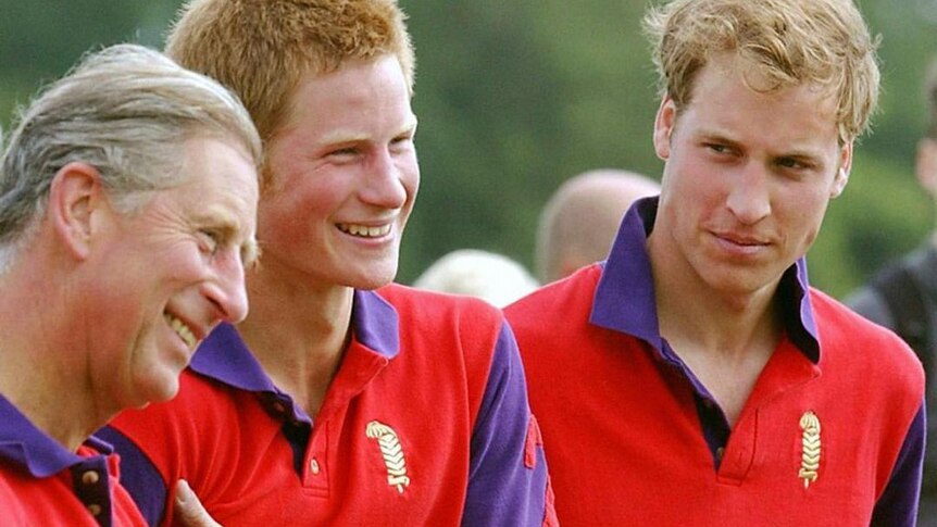 Prince Charles, Harry and William smile in matching jerseys.