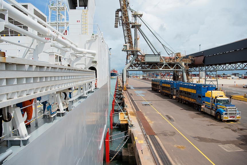 Cattle truck at Darwin port alongside a live export vessel.