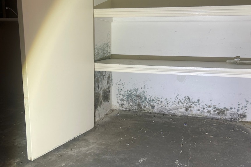 Mould on a cabinet. 