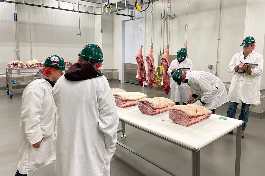 Five young people in a lab examine slabs of meat on a table in a coldroo.