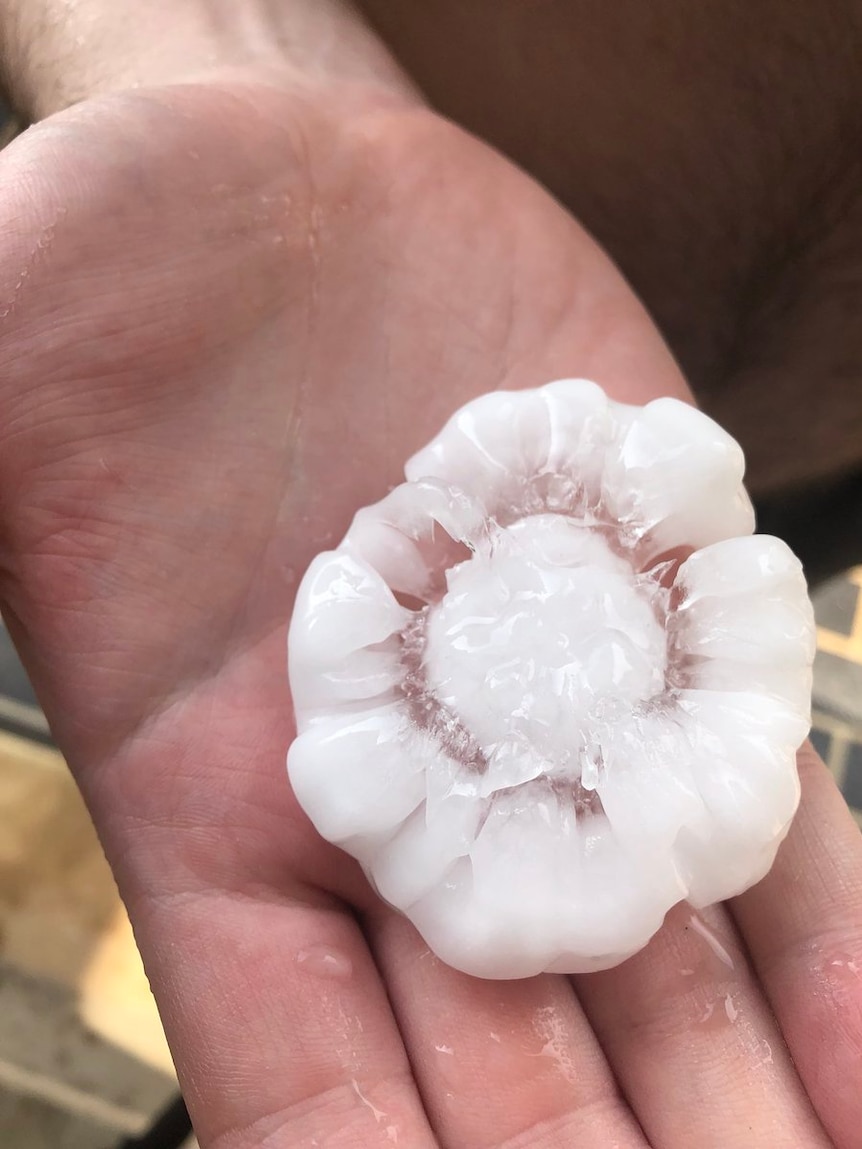 A large, flower shaped hailstone is displayed in the palm of a person's hand