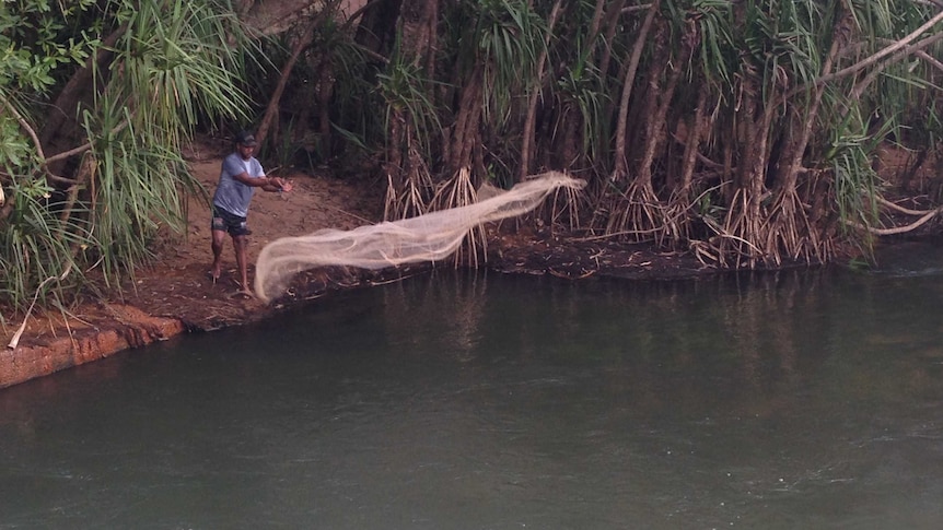 An fisherman casts a net into the Katherine River