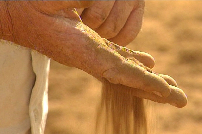 Dry soil runs through farmer's hands