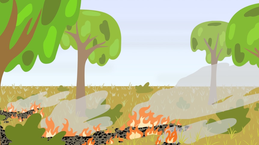 An illustration of fire burning a grass and tree landscape