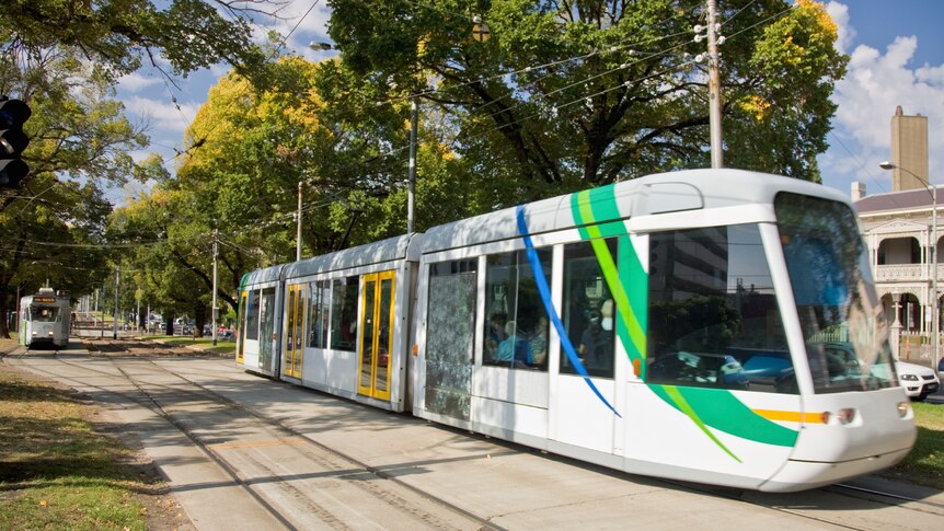 A tram sits on the rails in Melbourne with trees in the background