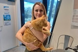 A young smiling woman holds a large ginger cat.
