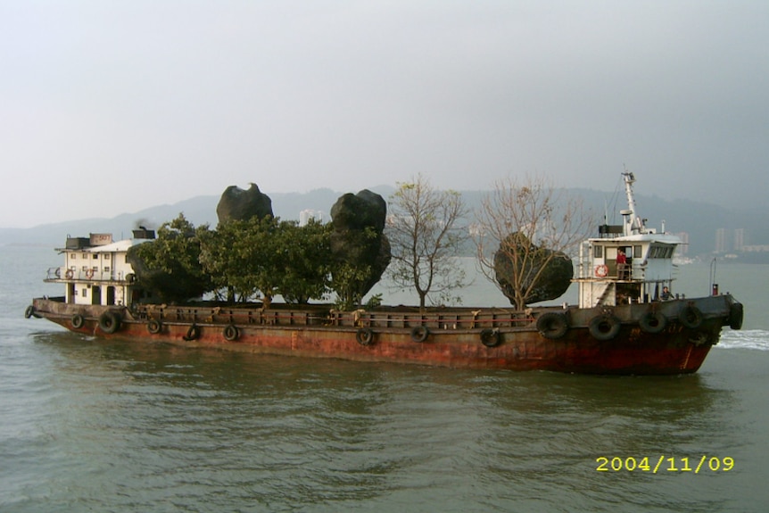 Photo of trees being exported on a ship