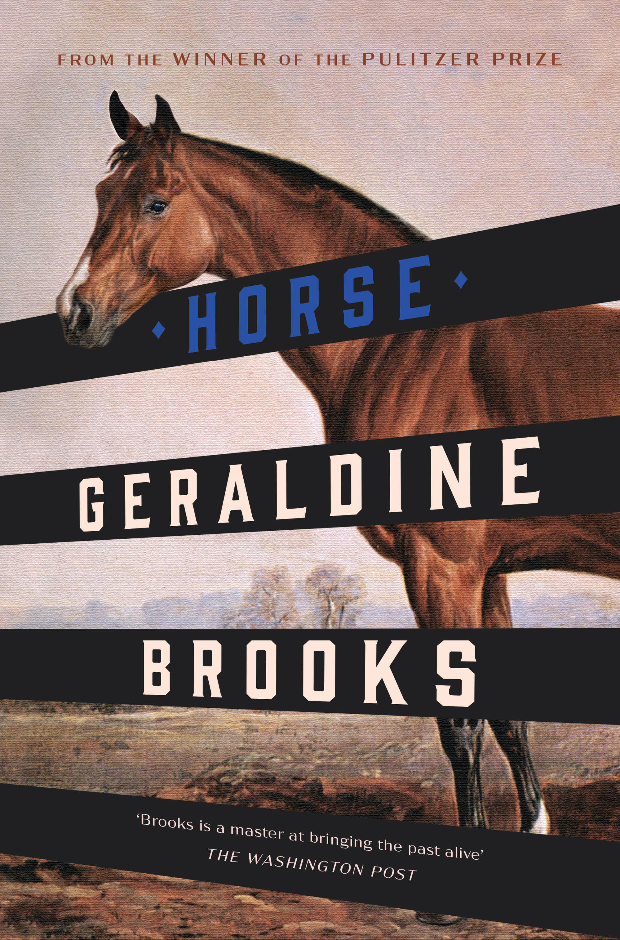 Cover of Horse by Geraldine Brooks featuring a horse looking over a fence. 