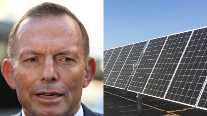 Tony Abbott and solar panels 