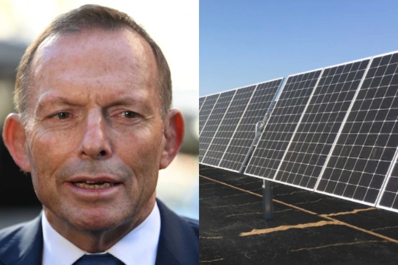 Tony Abbott and solar panels 