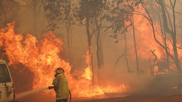 A firefighters uses a fire hose in front of burning trees.