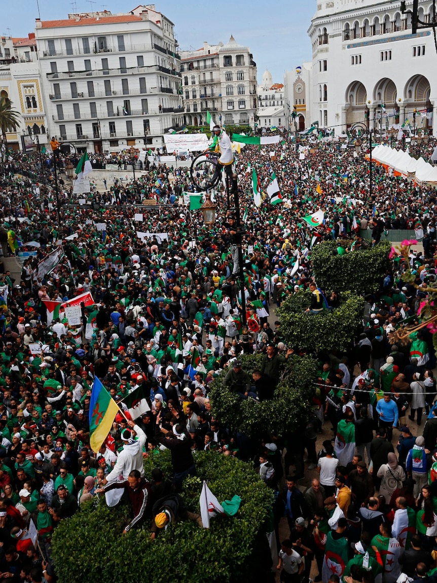 Thousands of demonstrators gather at a rally, waving flags and climbing on lamp posts and hedges