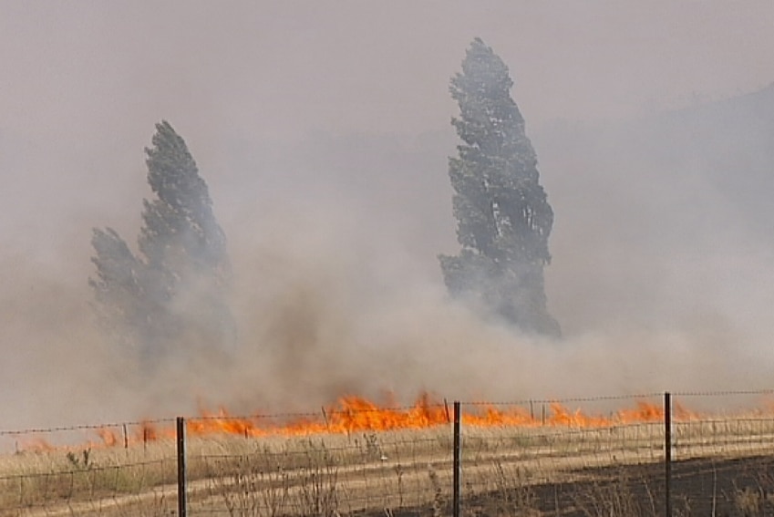 Yarrabin grassfire