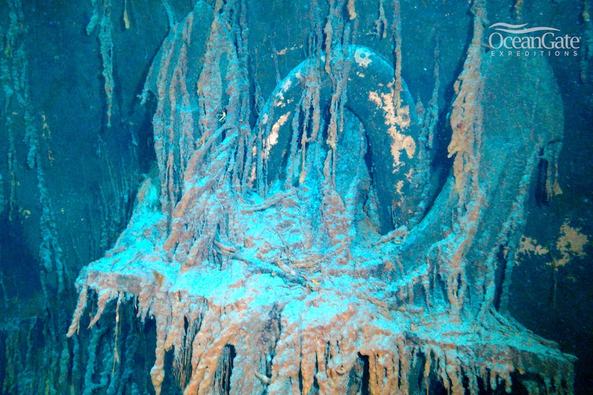 An underwater view of the shipwrecked Titanic. 