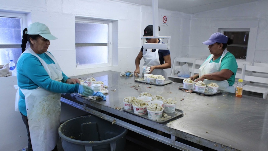 Women wearing aprons pack crab meat into plastic containers at a steel table.