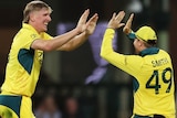 Will Sutherland high-fives Steve Smith in an ODI