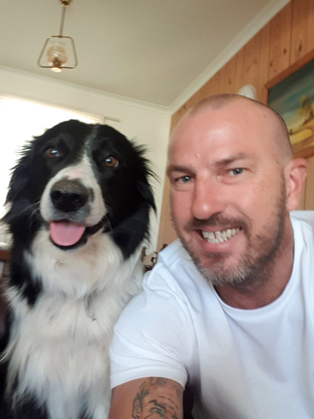 A man and a border collie both appear to smile in a selfie