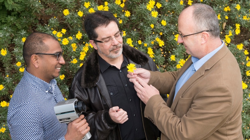 Dr Jair Garcia, Professor Marcello Rosa and Associate Professor Adrian Dyer looking at a yellow flower