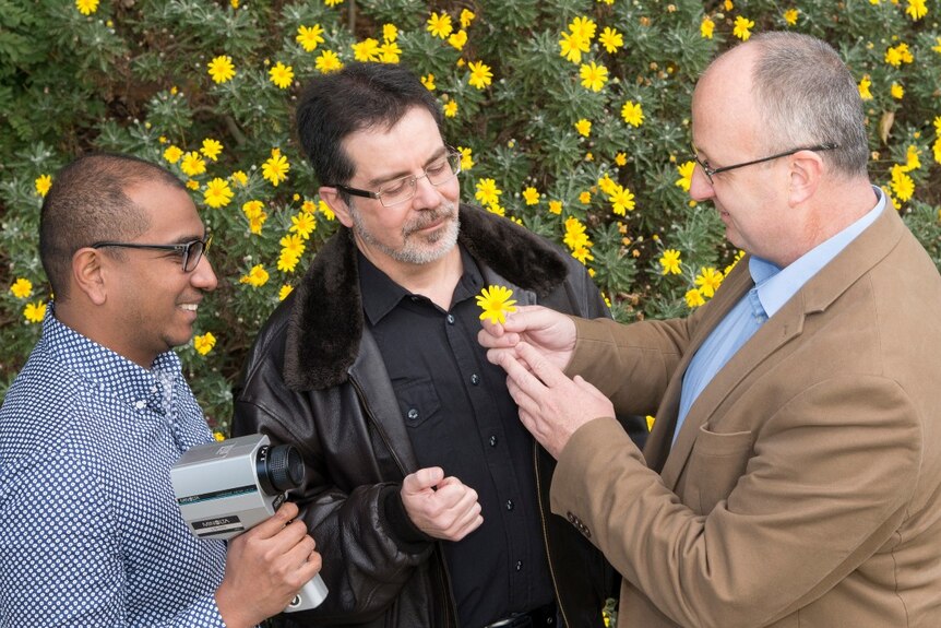 Dr Jair Garcia, Professor Marcello Rosa and Associate Professor Adrian Dyer looking at a yellow flower