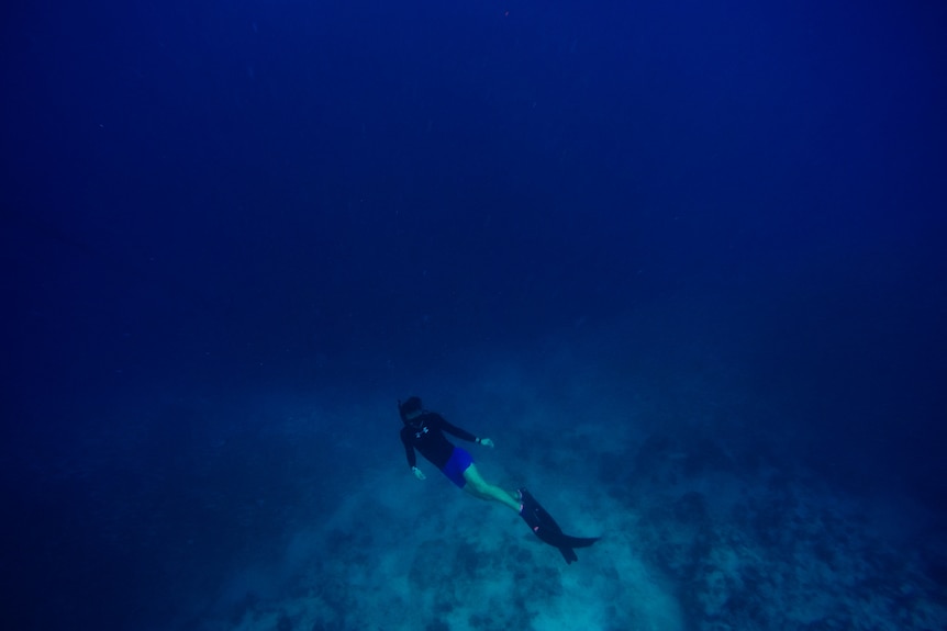 Person scuba diving on ocean floor