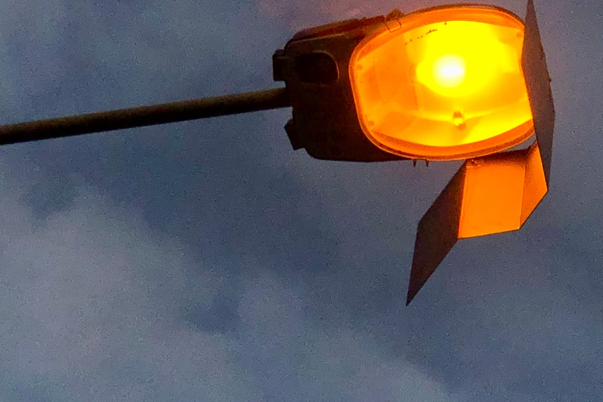 Looking up at a very orange street light, with a shield attached.