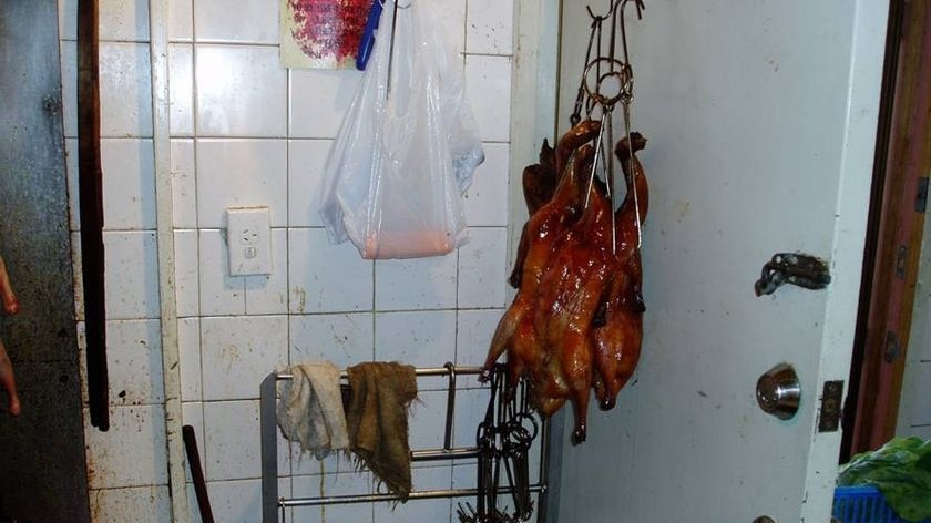 Several barbequed ducks were found hanging off the back of a door at the Tak Kee Roast Inn.