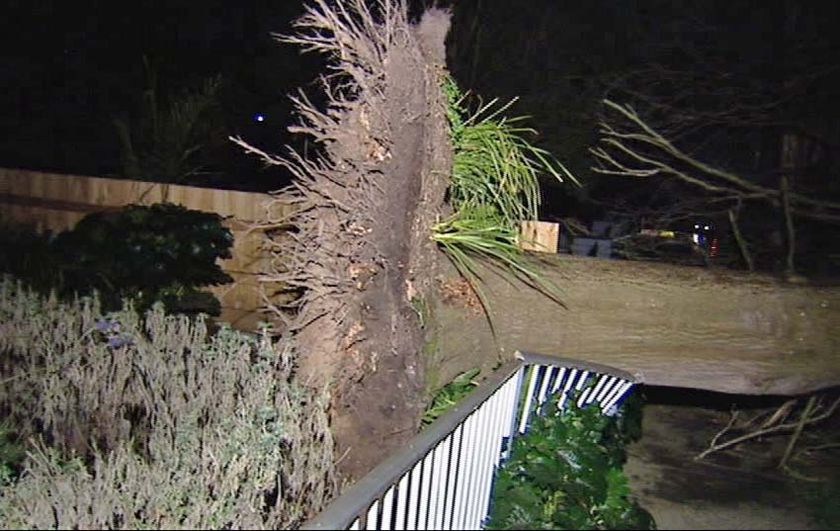 Thousands without power in Melbourne - ABC News