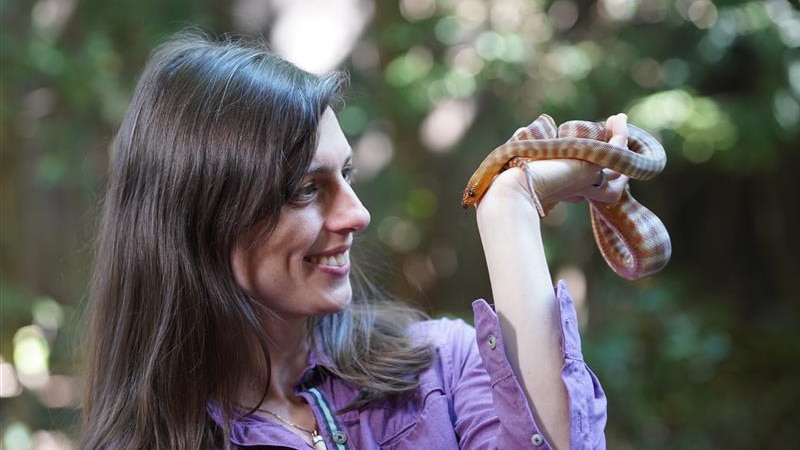 Dr Christina holding a snake. 