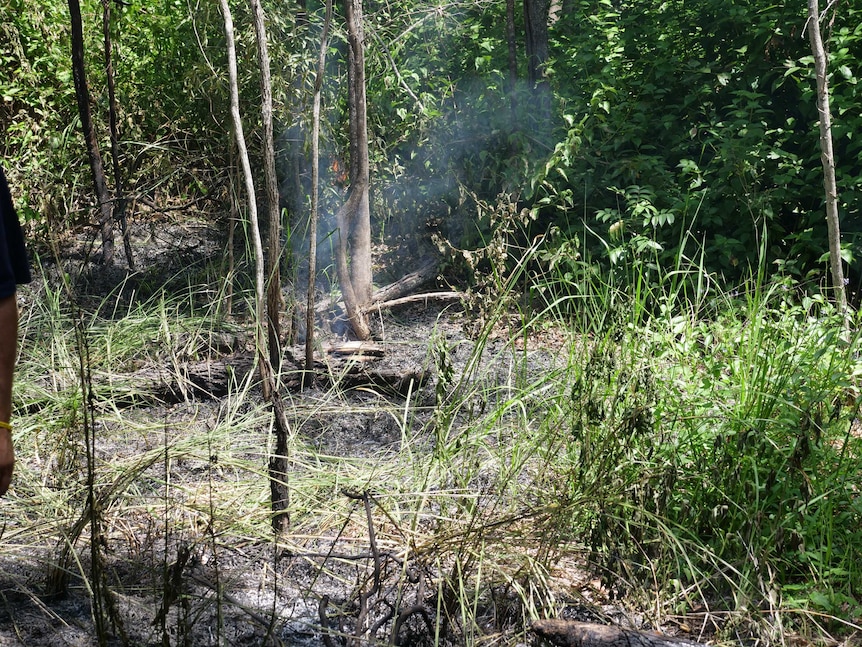 Smoke rises from some burnt ground surrounded by unburned grass and trees