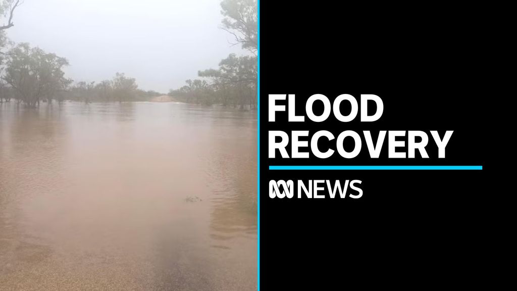 Residents of NT town call for help with flood recovery - ABC News