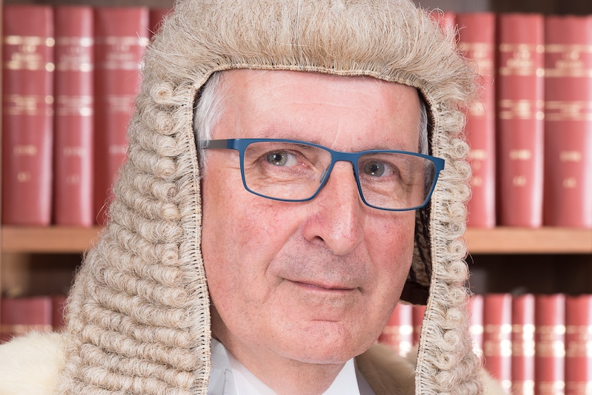 A man sits infront of books with a court wig looking at the camera.