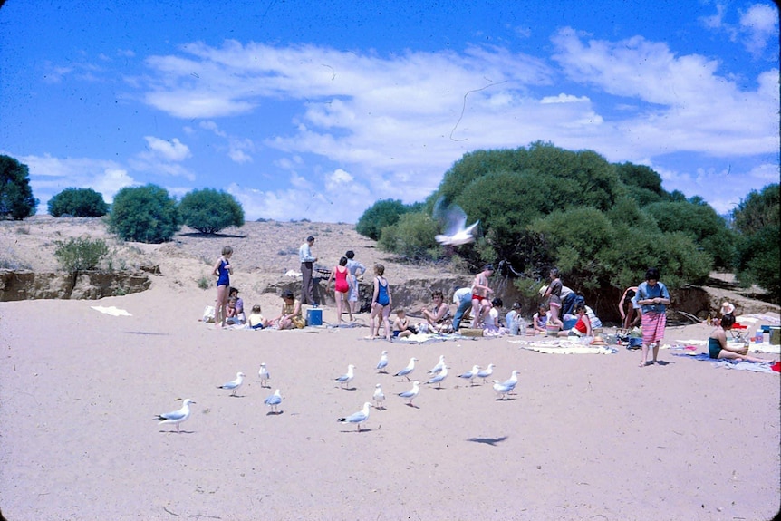 A group of families lay and stand on sand with seagulls in the 1960s.