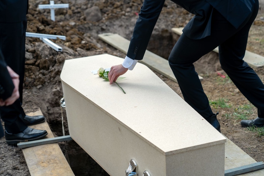 a funeral director wearing a black suit places a white rose on a coffin while it sits above the grave