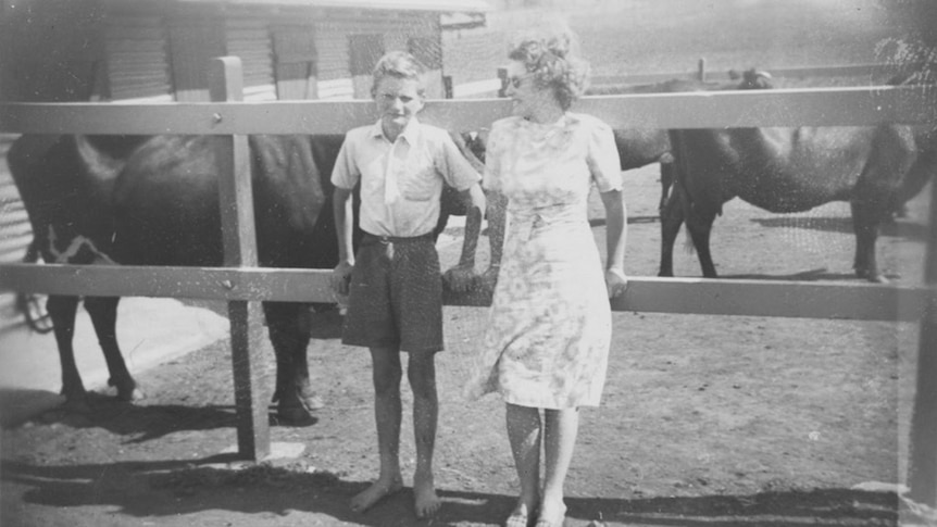 Black and white photo of boy and woman standing in front of cows in yard