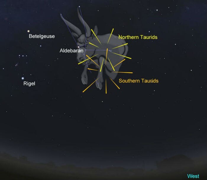 The position of the Northern and Southern Taurids as compared to Taurus