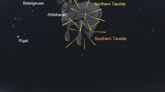 The position of the Northern and Southern Taurids as compared to Taurus