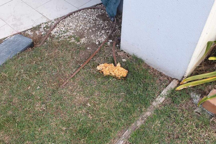 A picture of vomit on the lawn in the street.