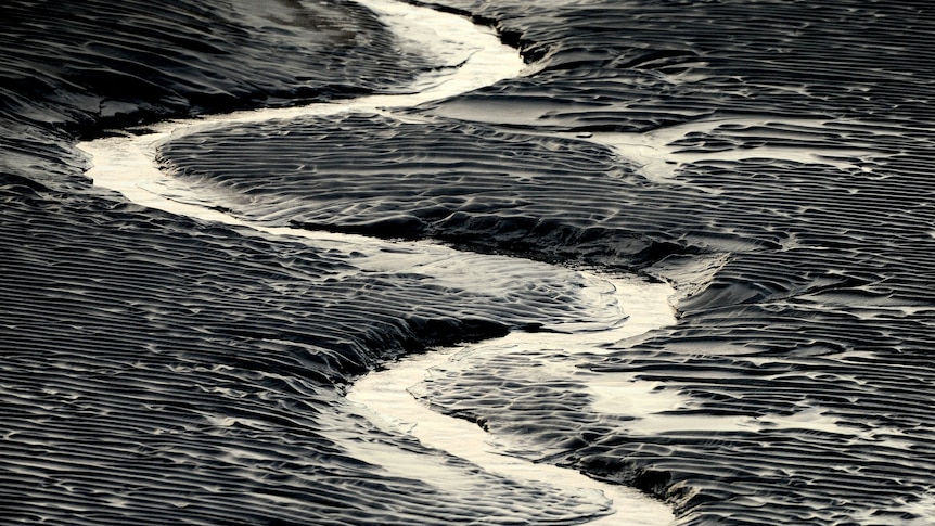 A waterway flowing through dark brown mud flats.