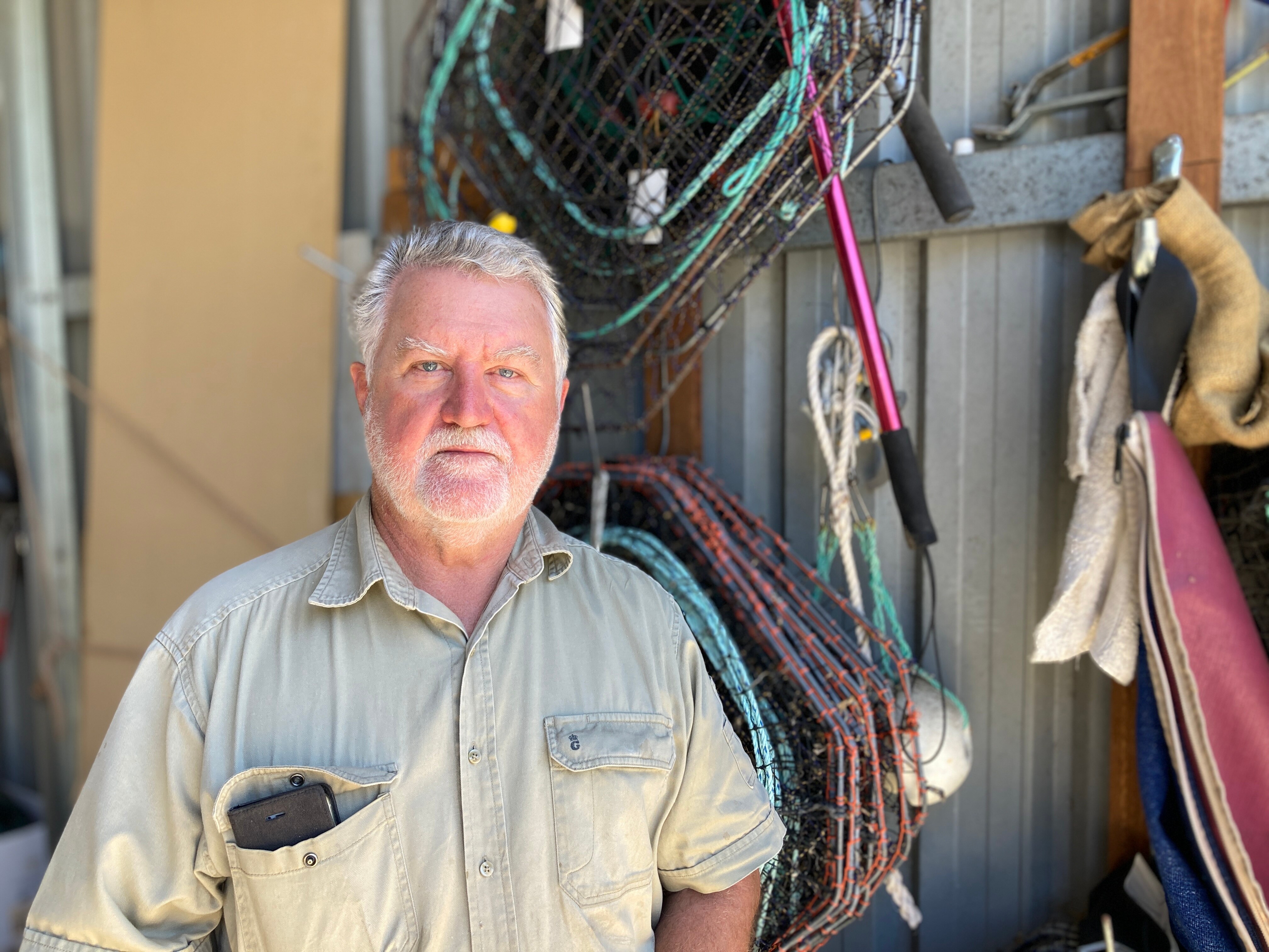 Dolphins caught on film raiding crab pots off Western Australia's south