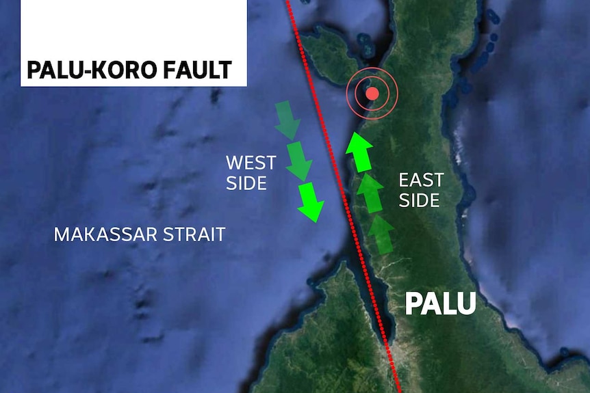 Graphic showing the Palu-Koro fault line running through Palu