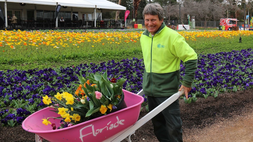 A man in gardening clothes pushed a wheelbarrow through Floriade.