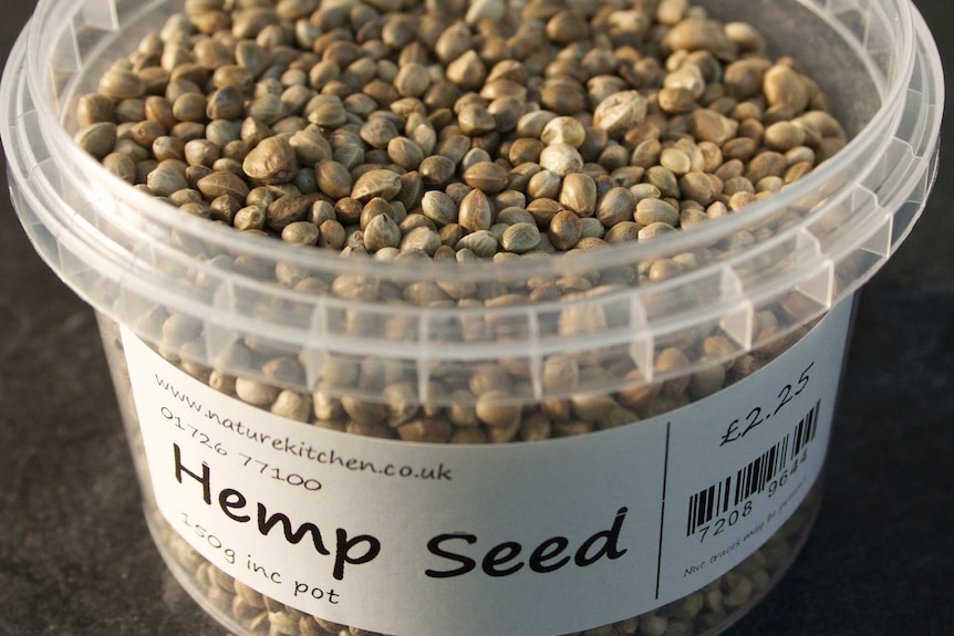 Pot of hemp seeds