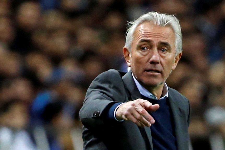 Bert van Marwijk, dressed in a suit, is seen directing his players on the sideline.