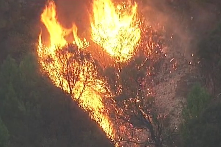 A fire burning through trees on a steep hill