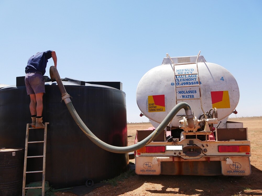 Droughtaffected Australian regions first Vietnamese molasses shipment to sustain