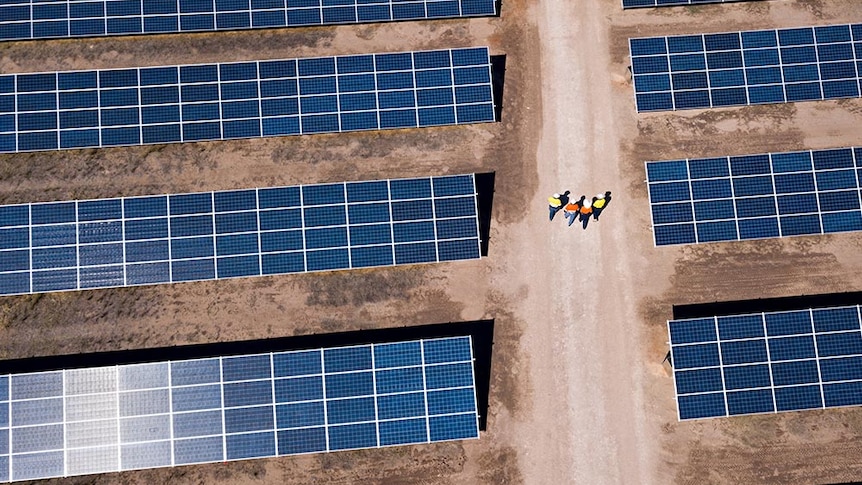 People walk through a field of solar panels.