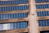 Aerial of a solar farm.