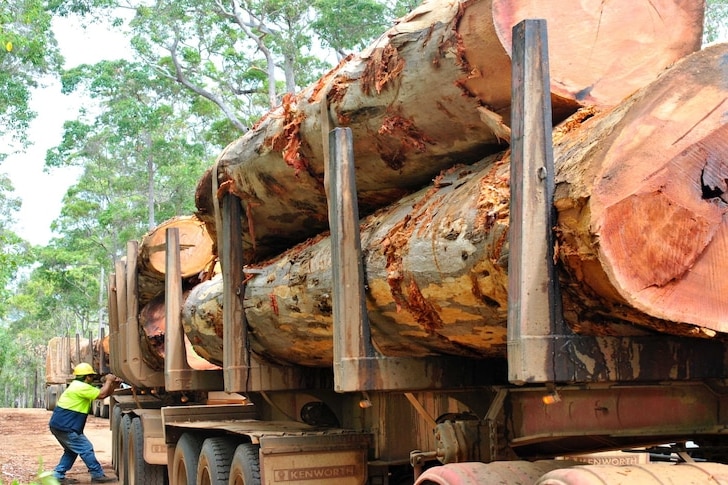 Truck with logs 