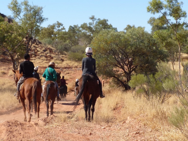 Horseback riding through the bush.