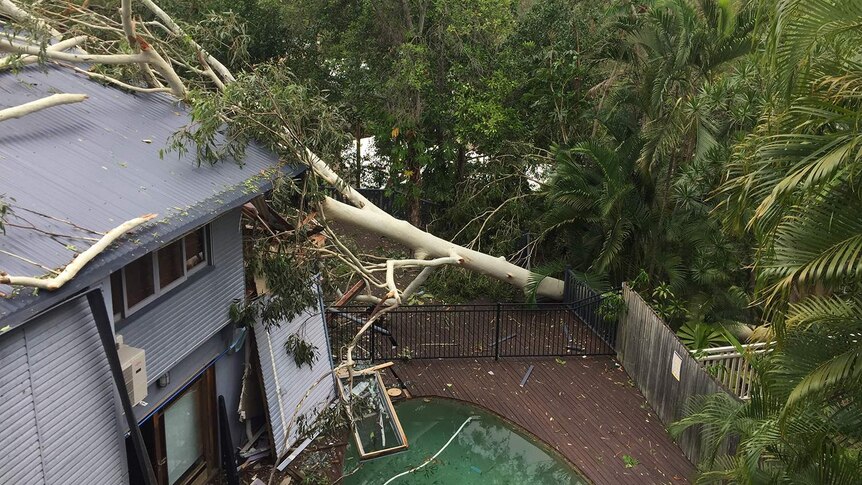 Tree on house at Bardon on December 19, 2016 after storms in Brisbane